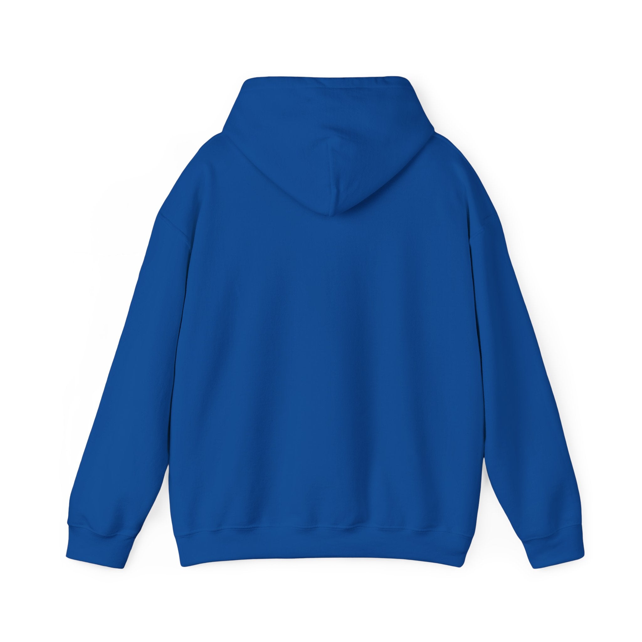 Inspirational Quote Hoodie — "You Have Everything It Takes" Motivational Pullover