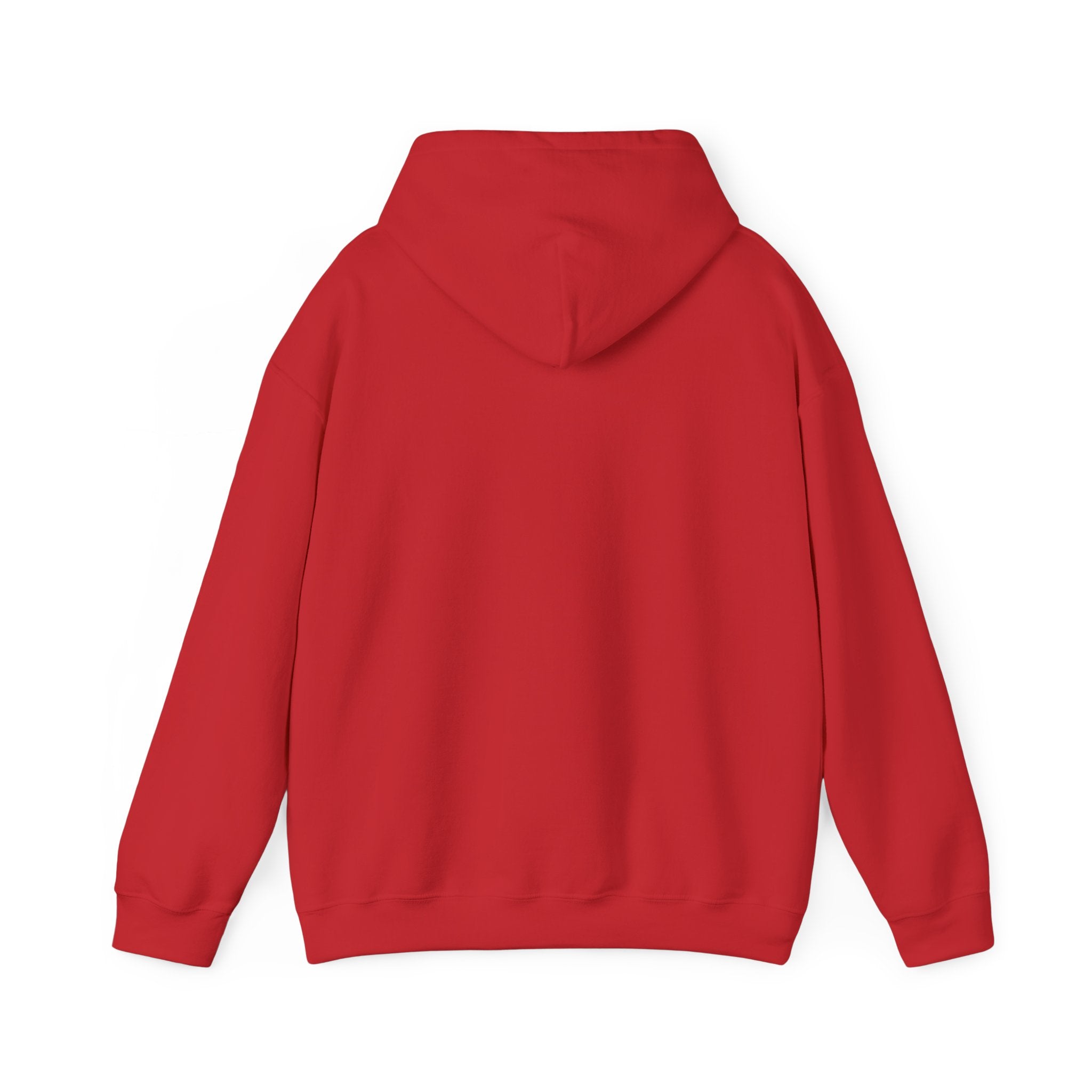 Inspirational Quote Hoodie — "You Have Everything It Takes" Motivational Pullover