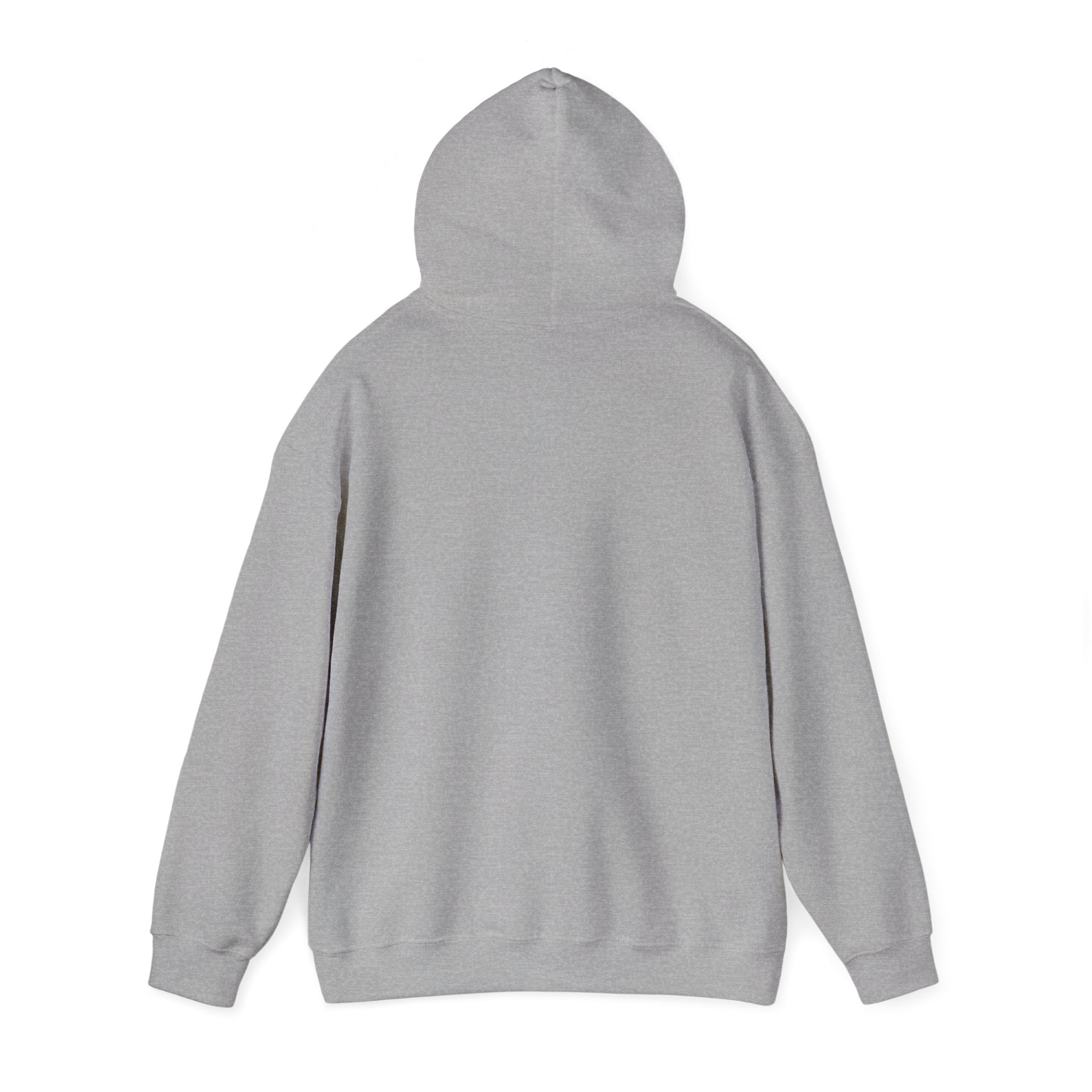 Inspirational Quote Hoodie — "You Have Everything It Takes" Motivational Pullover
