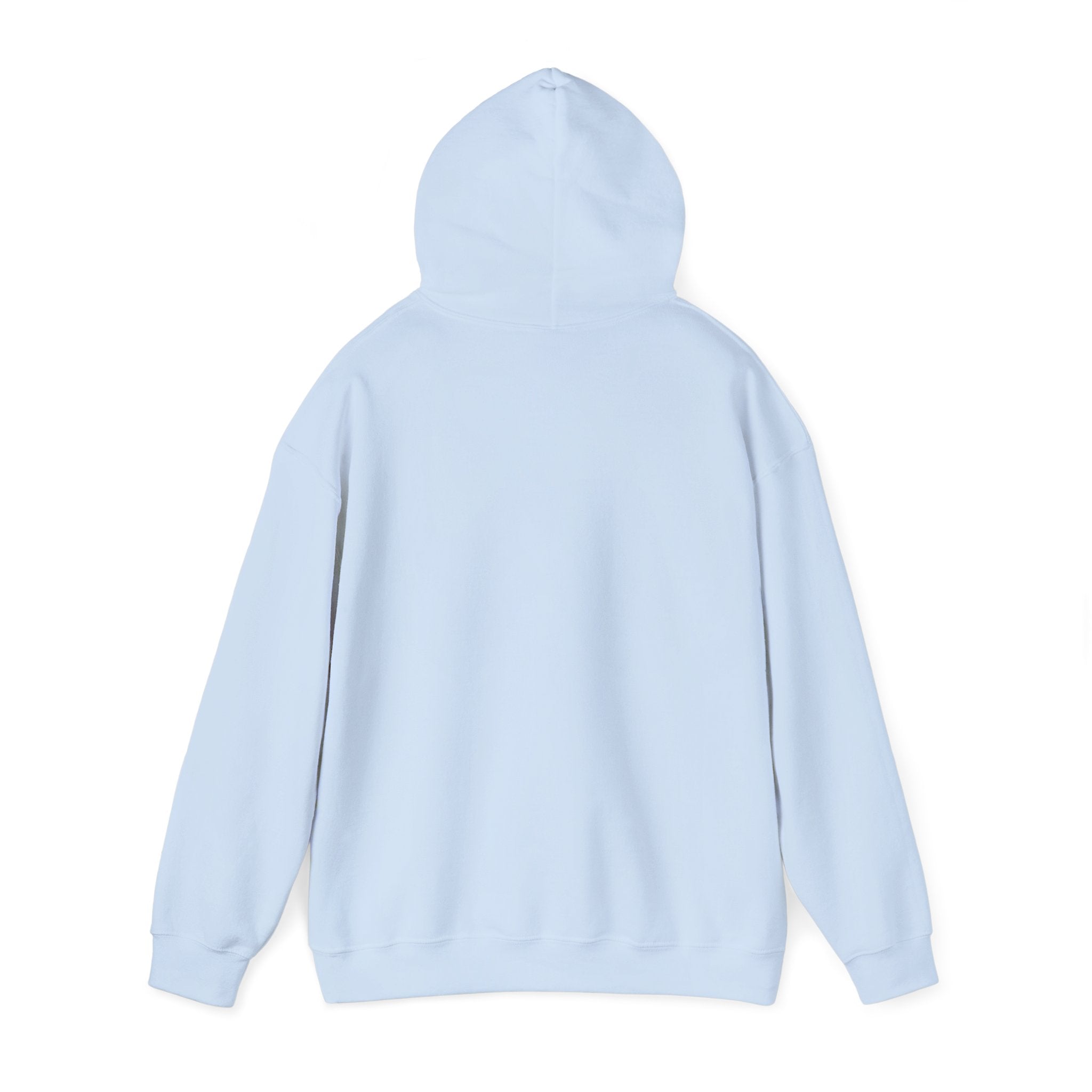 Inspirational Quote Hoodie — "You Have Everything It Takes" Motivational Pullover