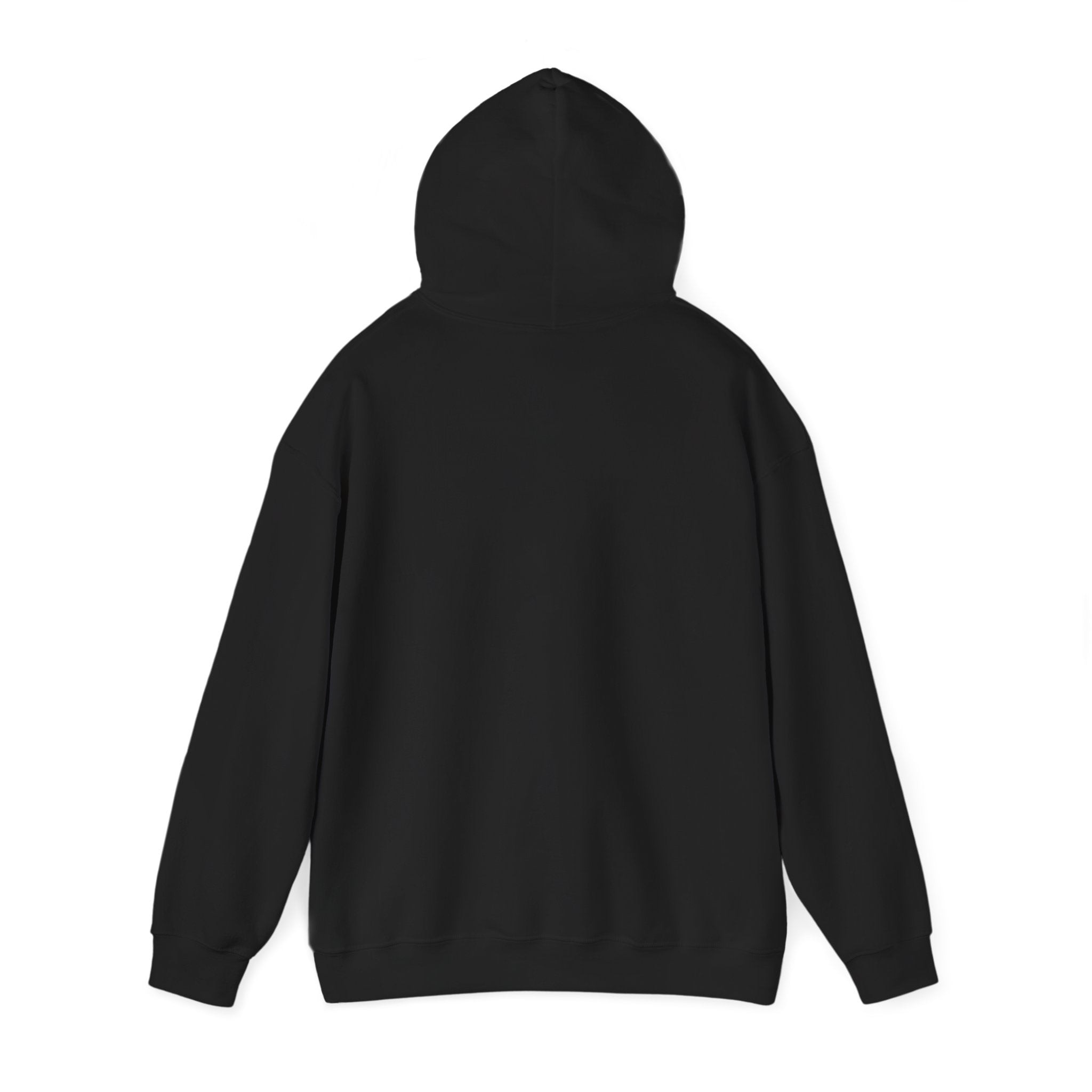 Inspirational Quote Hoodie — "You Have Everything It Takes" Motivational Pullover