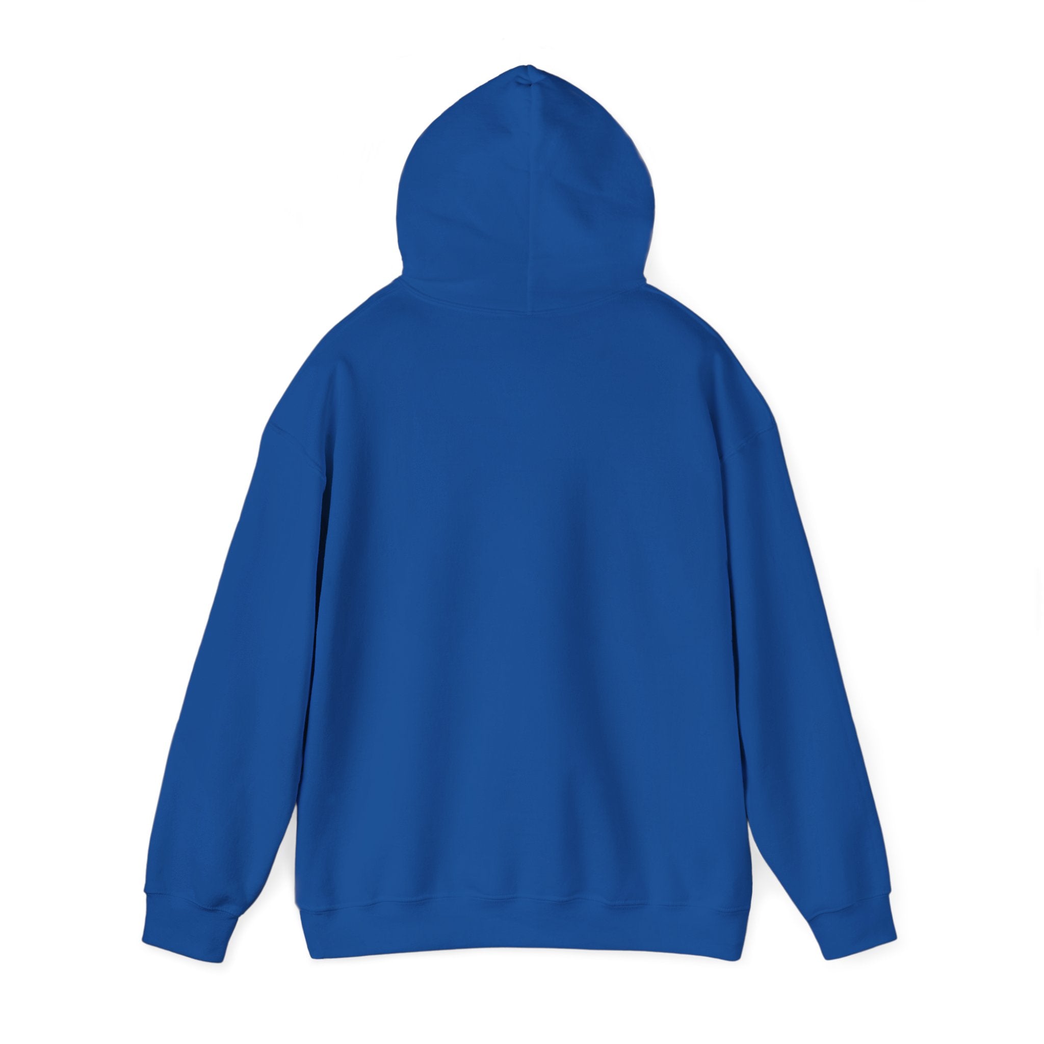 Inspirational Quote Hoodie — "You Have Everything It Takes" Motivational Pullover