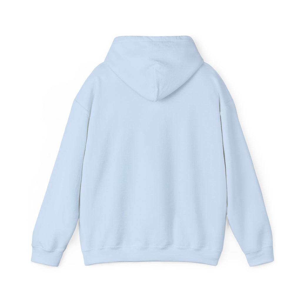 Inspirational Quote Hoodie — "You Have Everything It Takes" Motivational Pullover