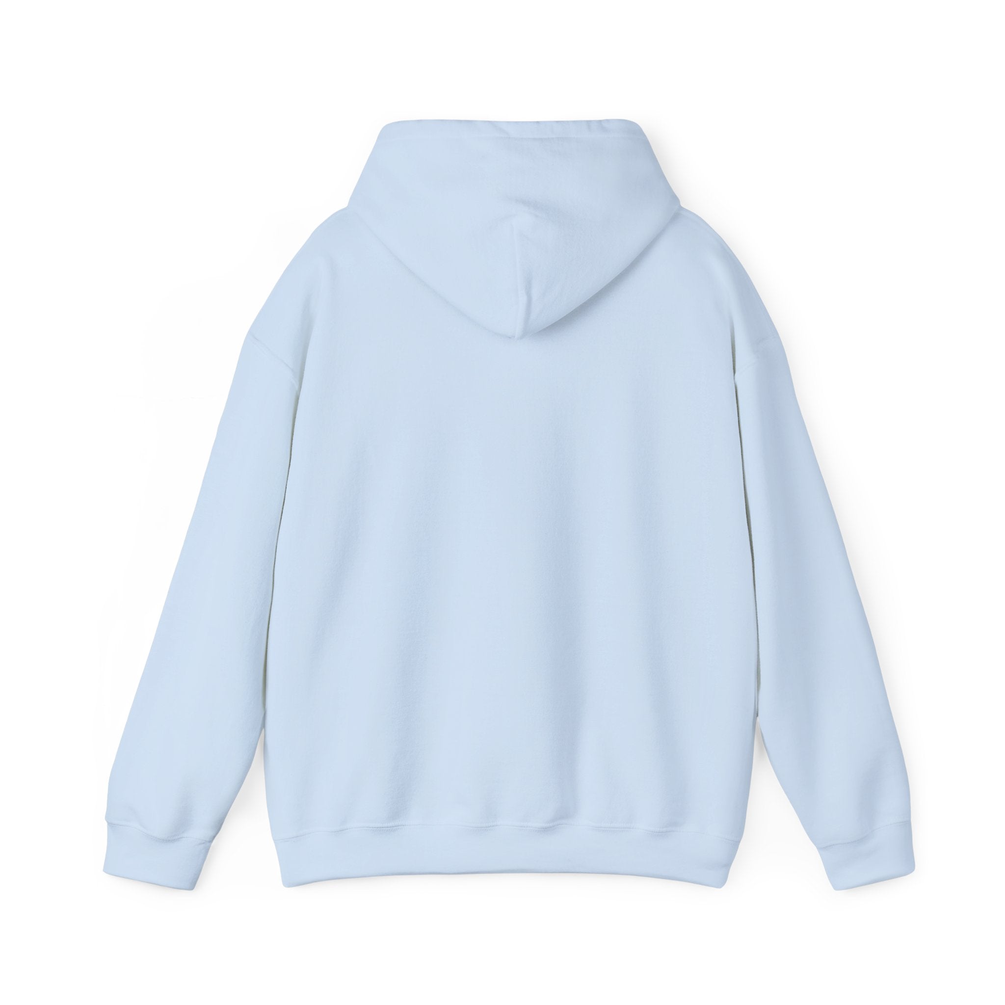 Inspirational Quote Hoodie — "You Have Everything It Takes" Motivational Pullover
