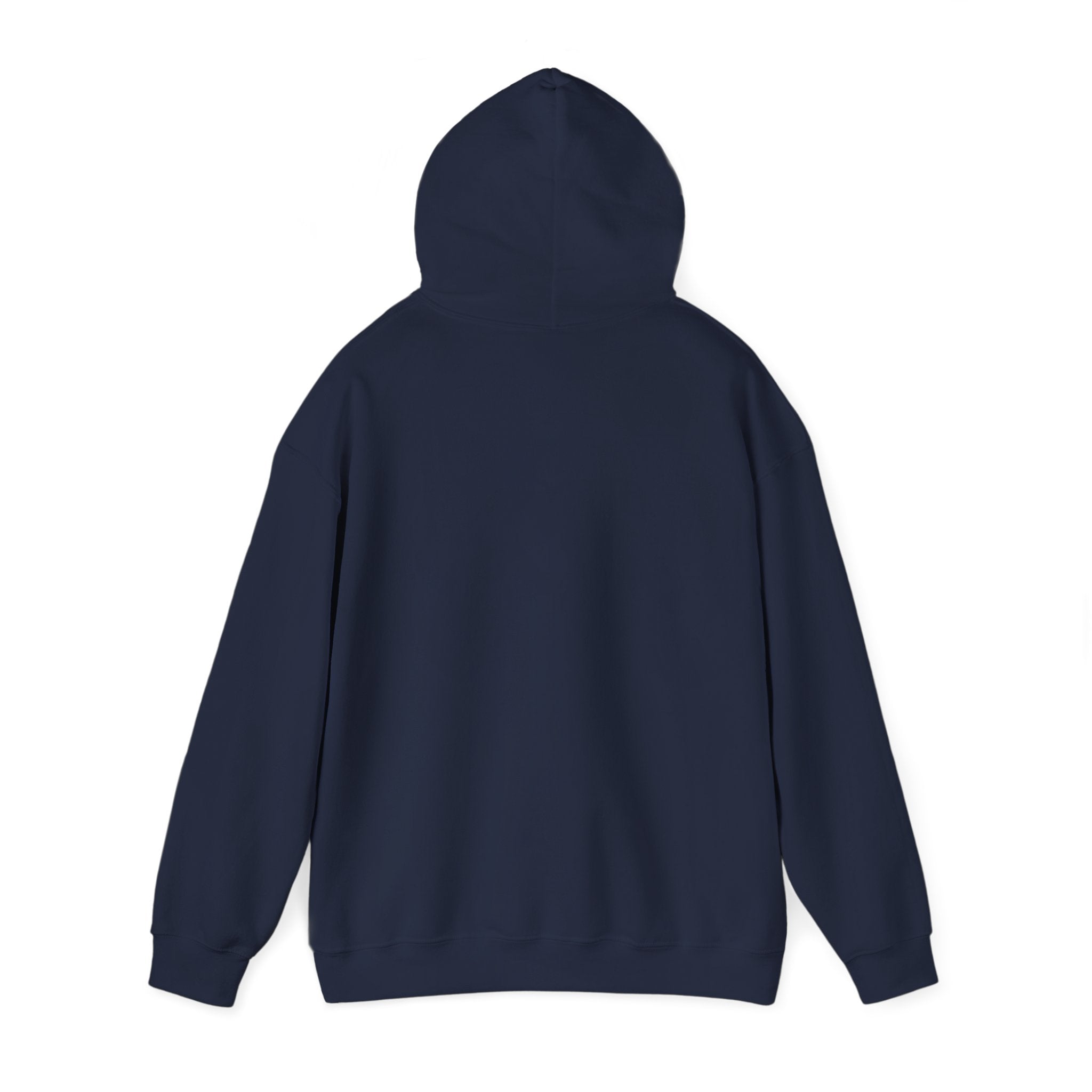 Inspirational Quote Hoodie — "You Have Everything It Takes" Motivational Pullover