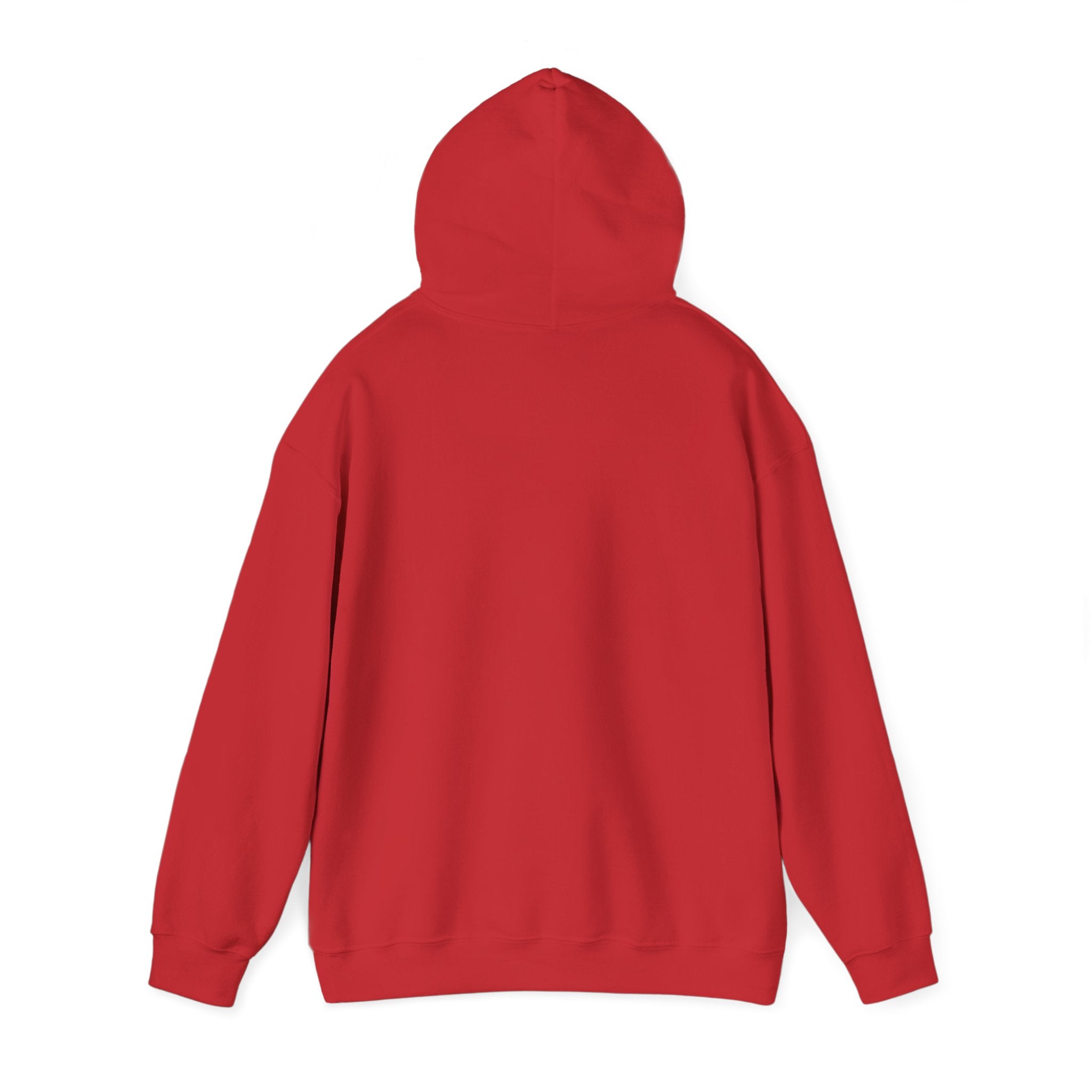 Inspirational Quote Hoodie — "You Have Everything It Takes" Motivational Pullover