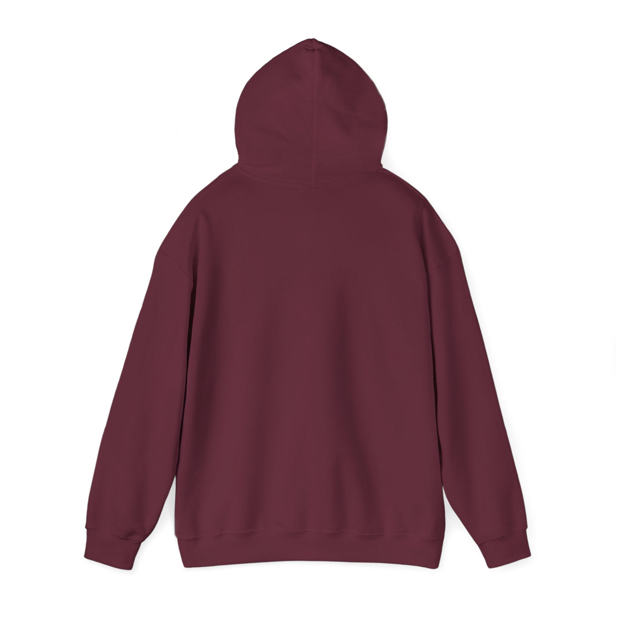 Inspirational Quote Hoodie — "You Have Everything It Takes" Motivational Pullover