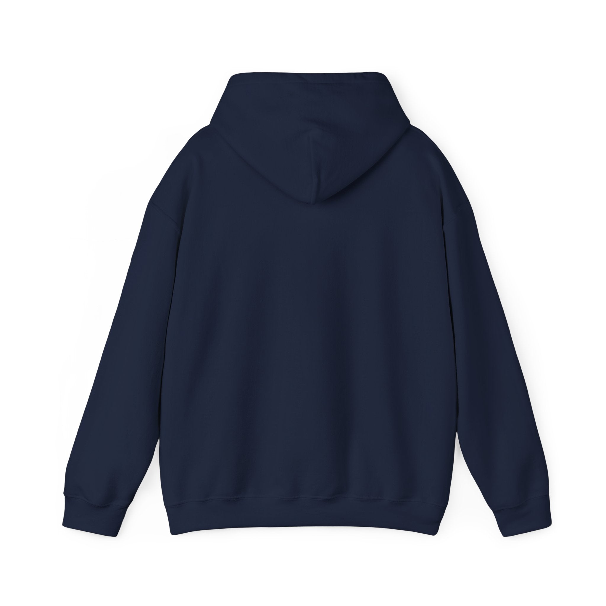 Inspirational Quote Hoodie — "You Have Everything It Takes" Motivational Pullover