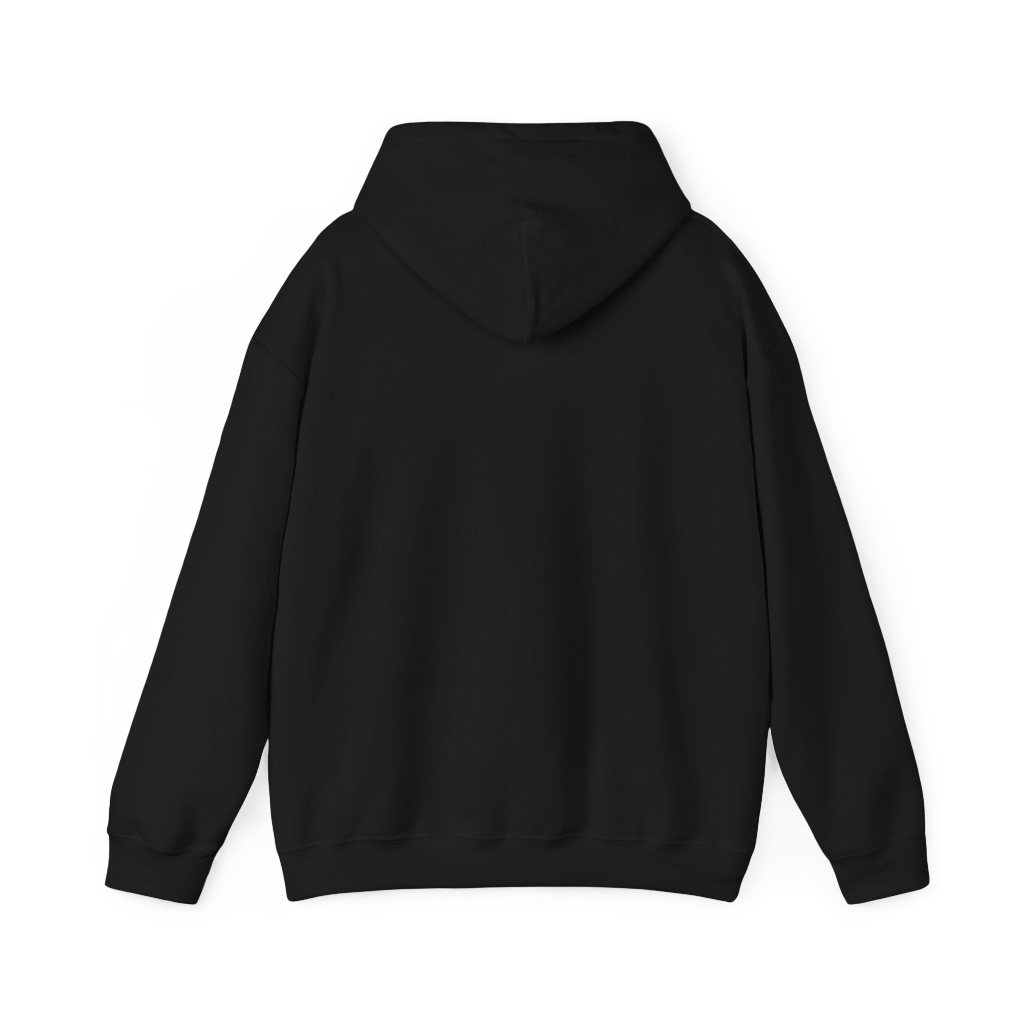 Inspirational Quote Hoodie — "You Have Everything It Takes" Motivational Pullover