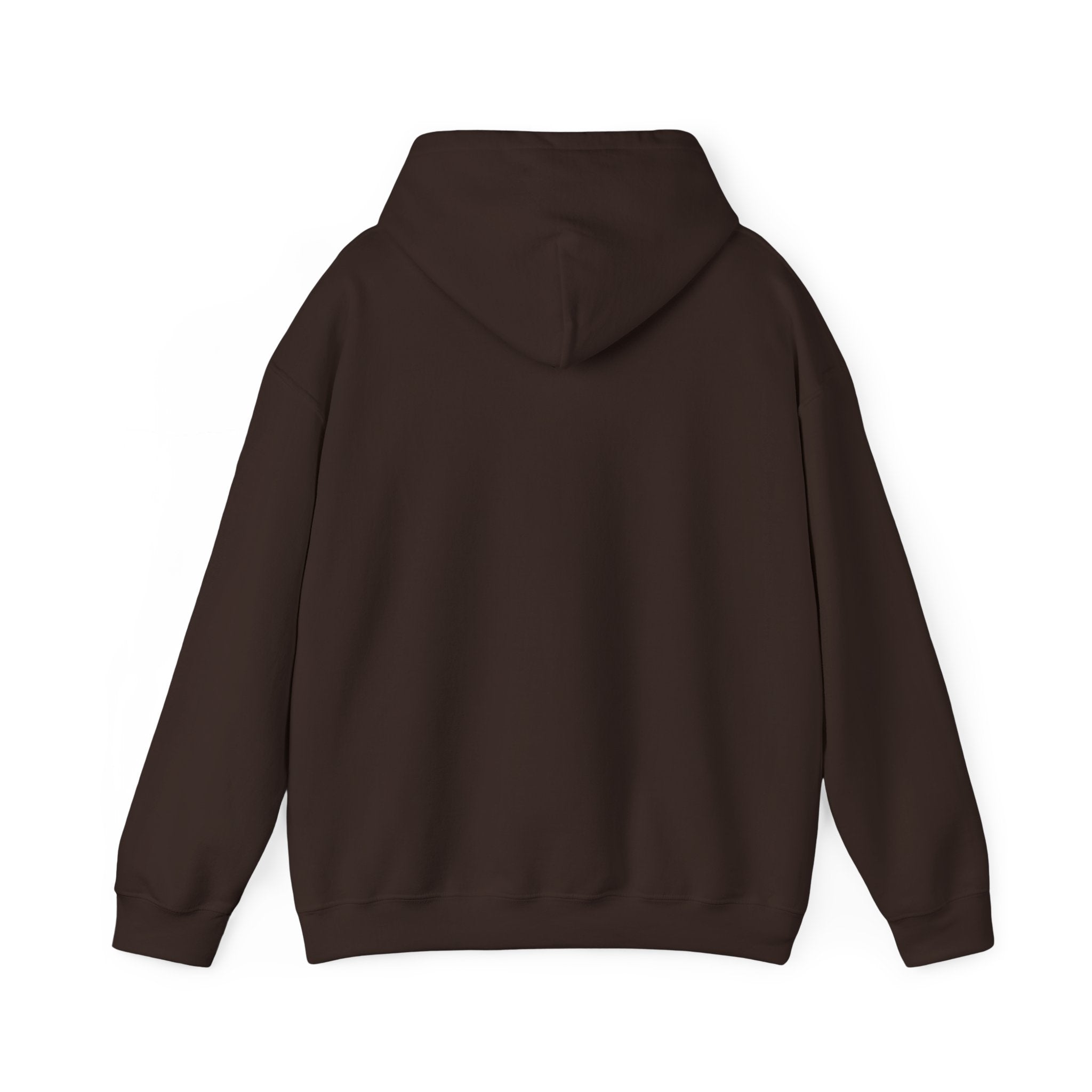 Inspirational Quote Hoodie — "You Have Everything It Takes" Motivational Pullover