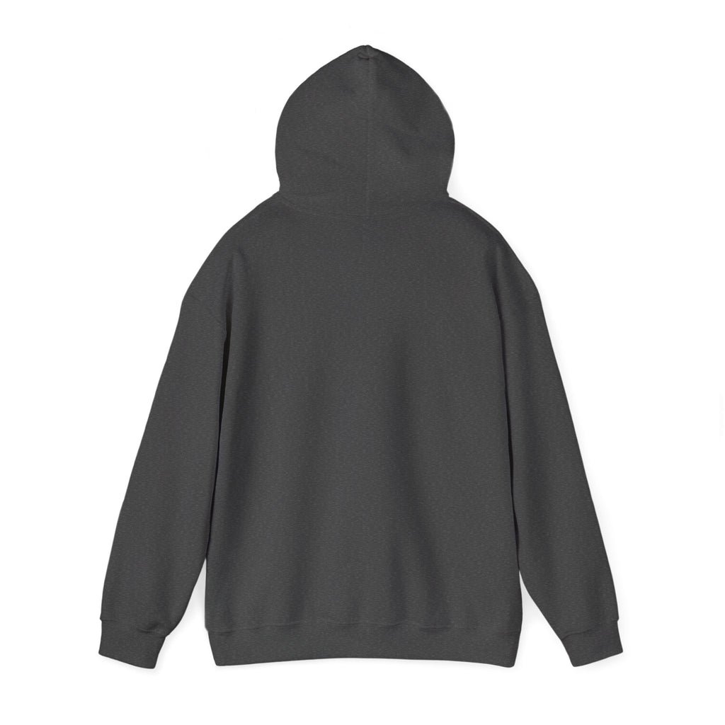 Inspirational Quote Hoodie — "You Have Everything It Takes" Motivational Pullover
