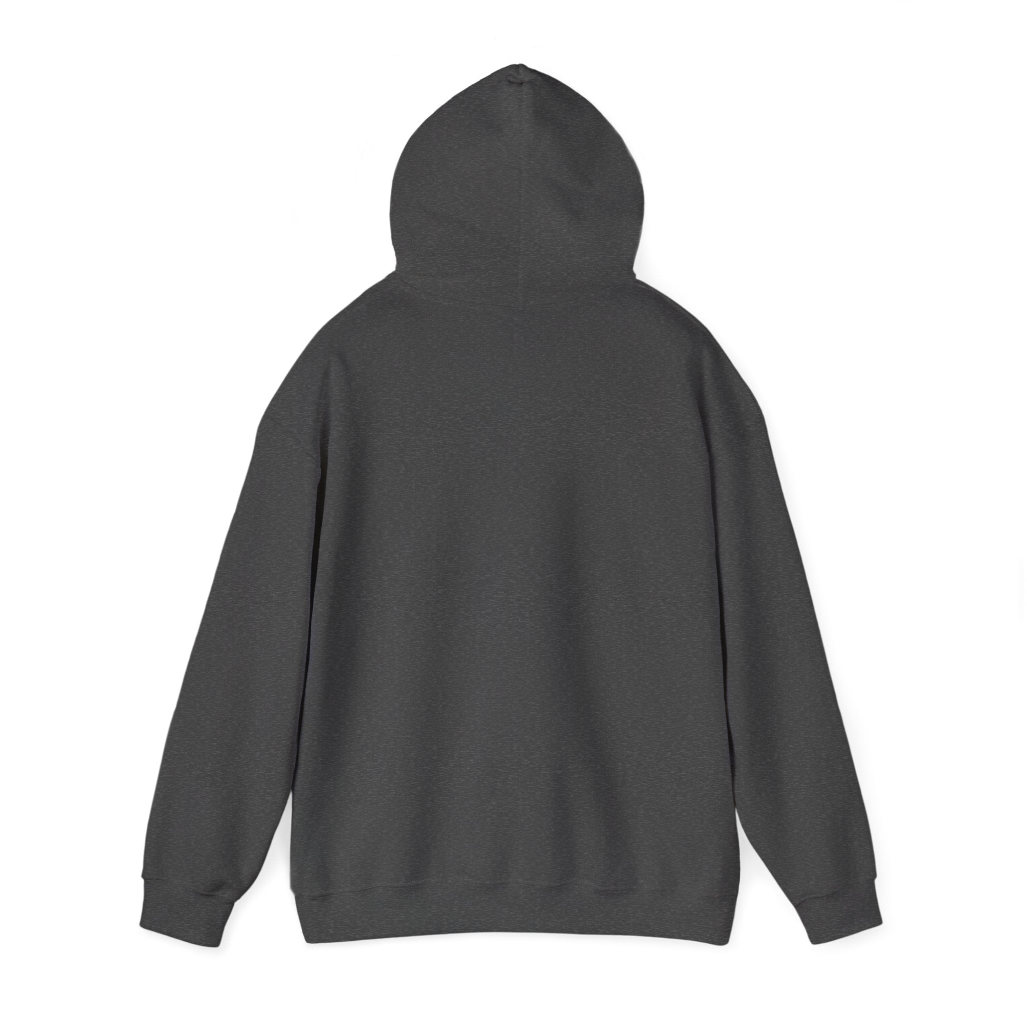 Inspirational Quote Hoodie — "You Have Everything It Takes" Motivational Pullover