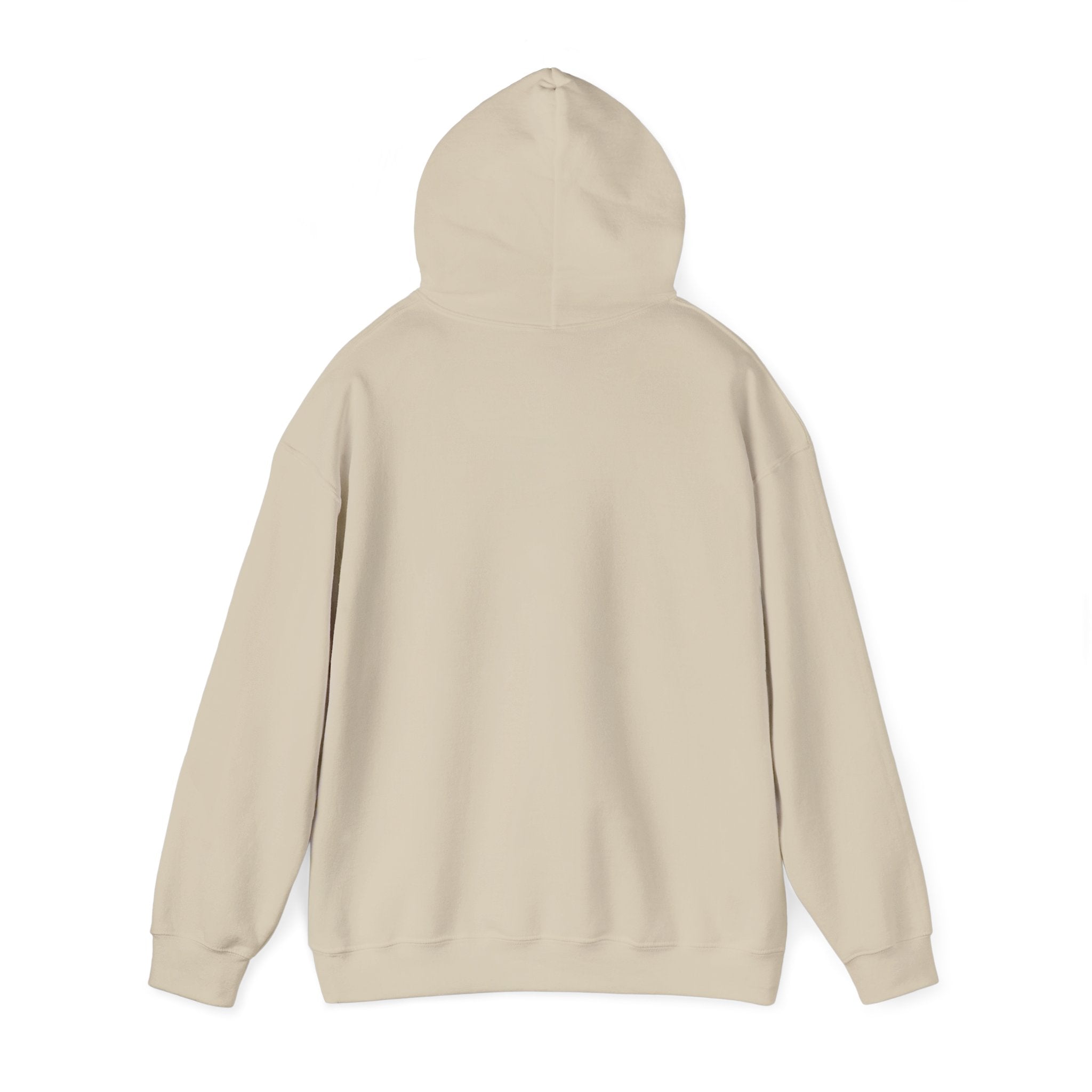 Inspirational Quote Hoodie — "You Have Everything It Takes" Motivational Pullover