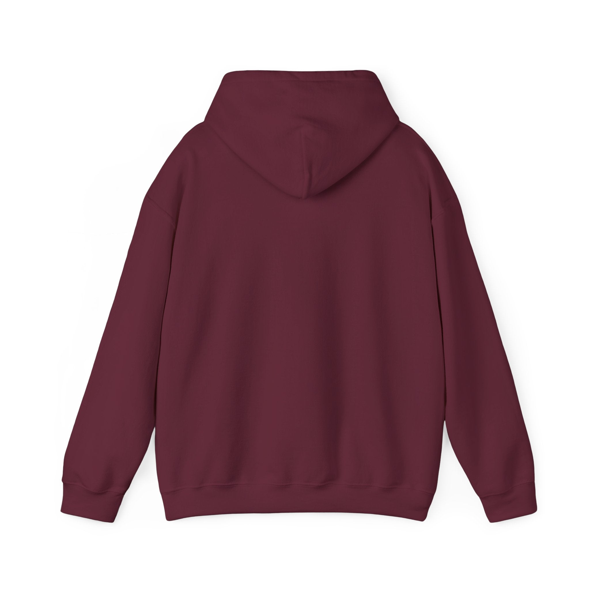 Inspirational Quote Hoodie — "You Have Everything It Takes" Motivational Pullover