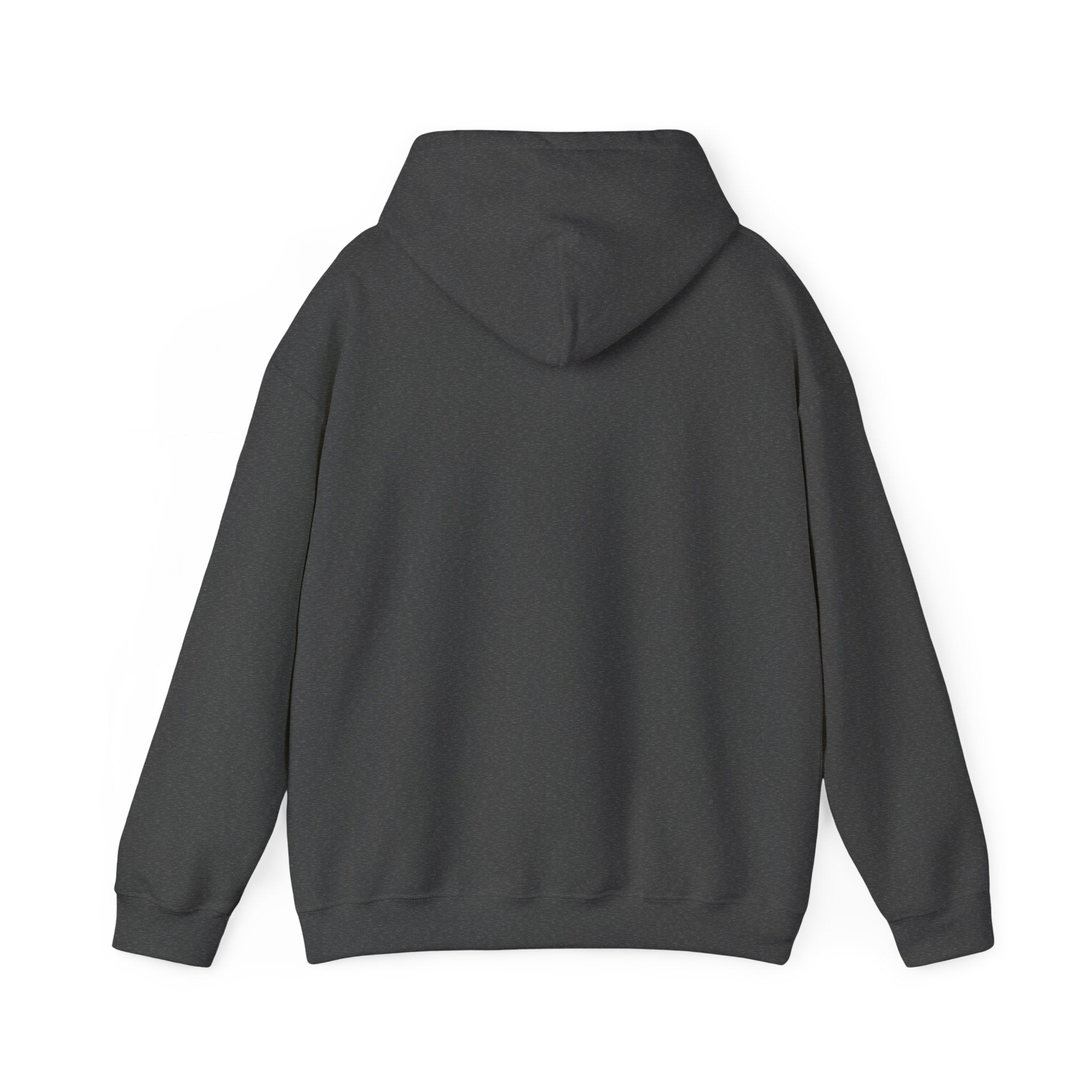 Inspirational Quote Hoodie — "You Have Everything It Takes" Motivational Pullover